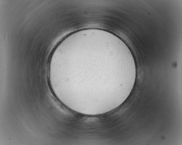 X0000112151043200909181418