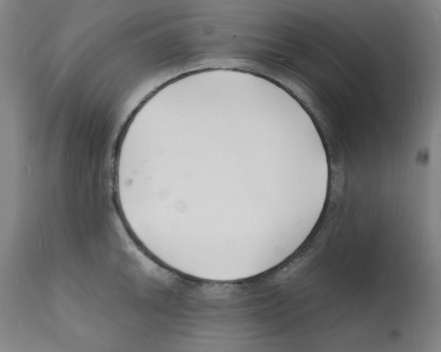 X0000112151046200909181418