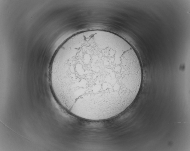 X0000112151047200909181418