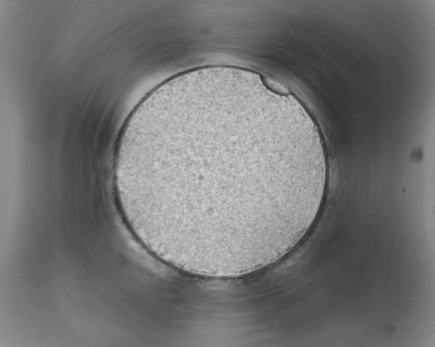 X0000112151048200909181418