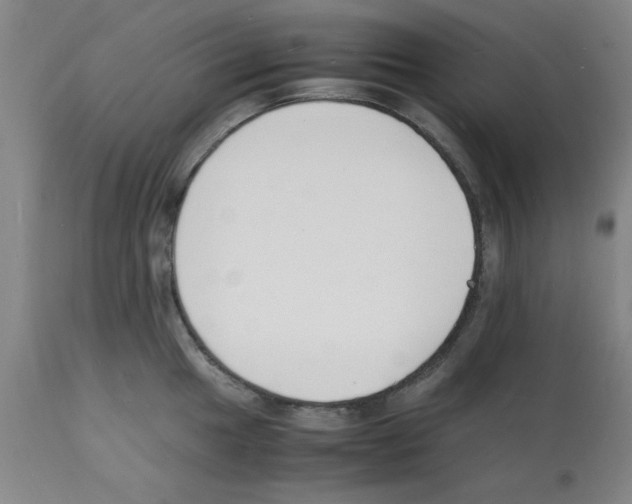 X0000112151049200909181418
