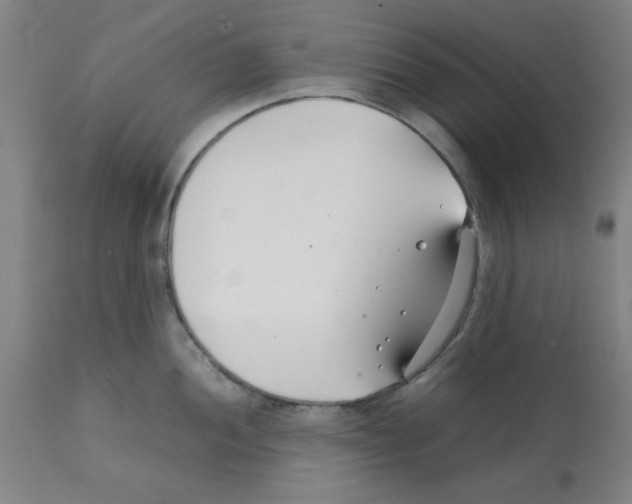 X0000112151052200909181418
