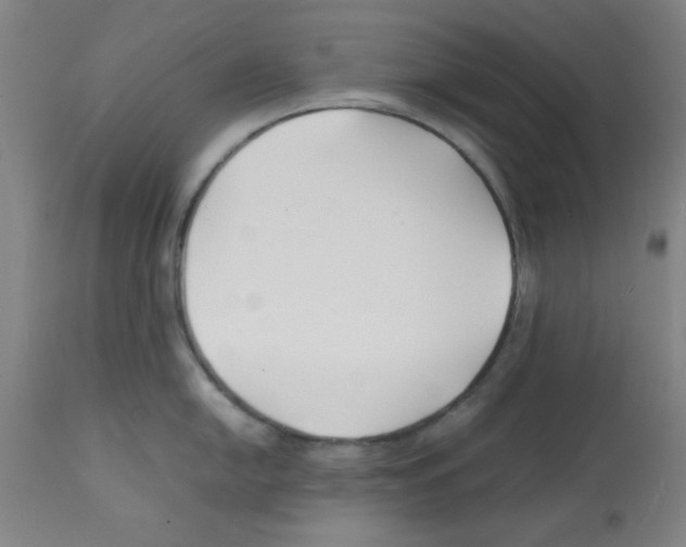X0000112151054200909181418