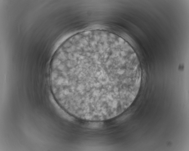 X0000112151055200909181418