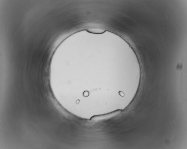 X0000112151056200909181418