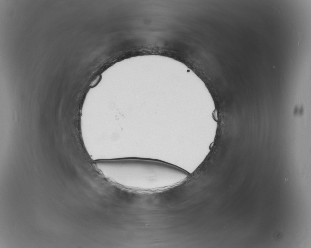 X0000112151057200909181417