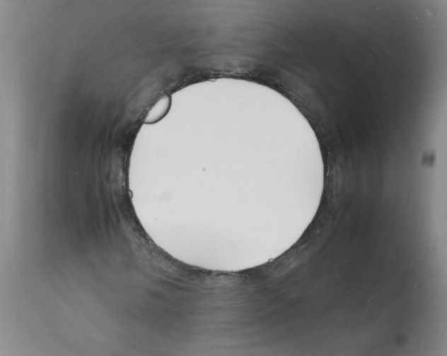 X0000112151058200909181417