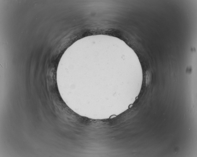 X0000112151059200909181417