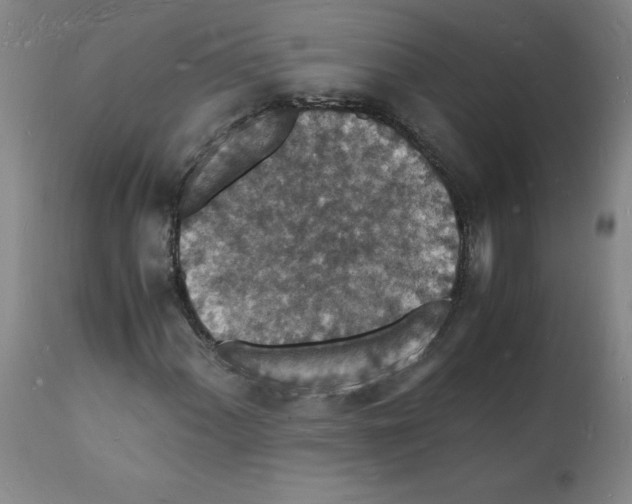 X0000112151060200909181417