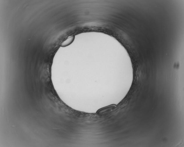 X0000112151062200909181417