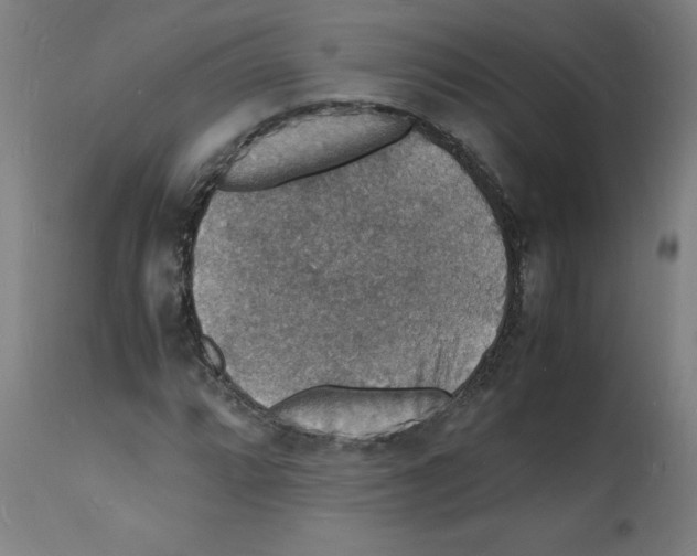 X0000112151064200909181417