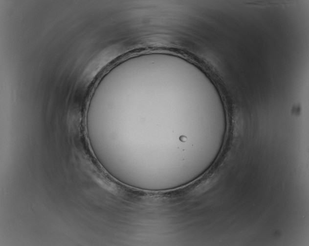 X0000112151065200909181417