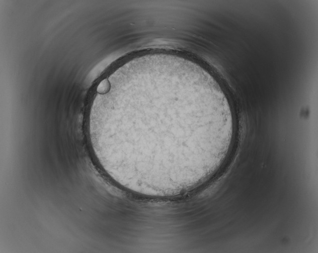 X0000112151066200909181417