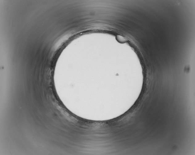 X0000112151067200909181417
