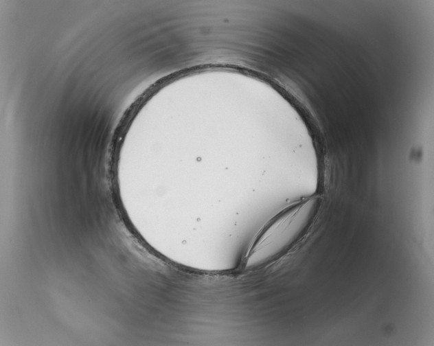 X0000112151068200909181417