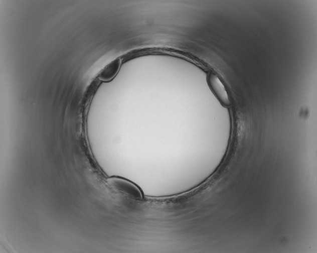 X0000112151069200909181417