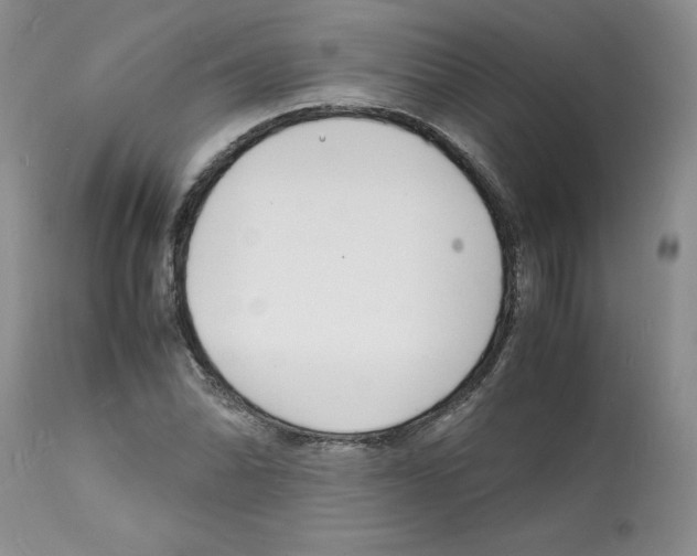 X0000112151070200909181417