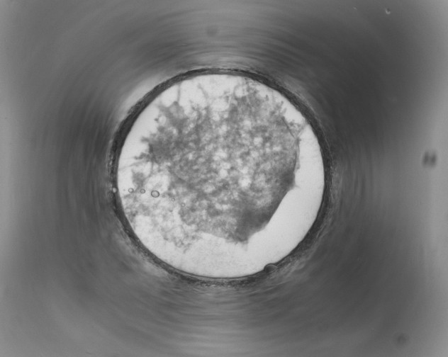 X0000112151071200909181417