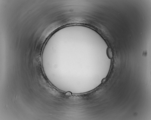 X0000112151073200909181417