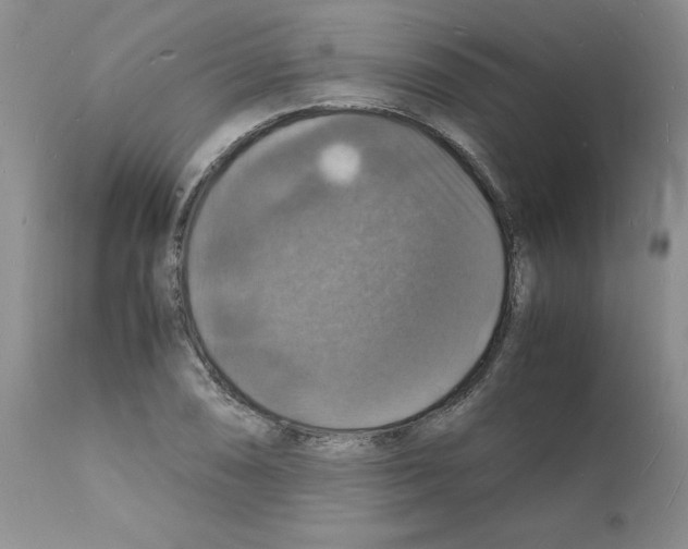 X0000112151074200909181417