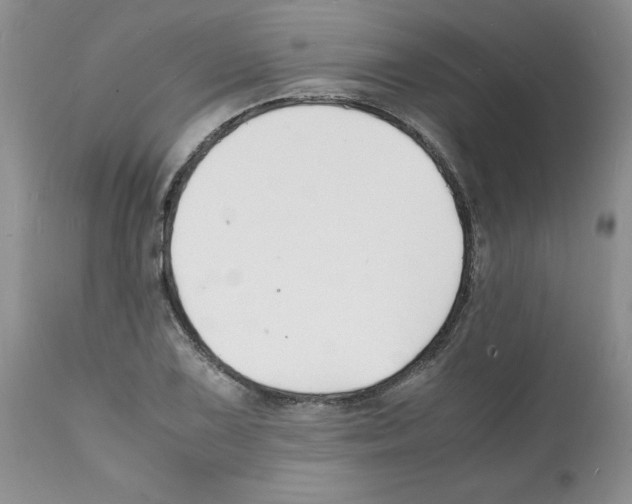 X0000112151075200909181417