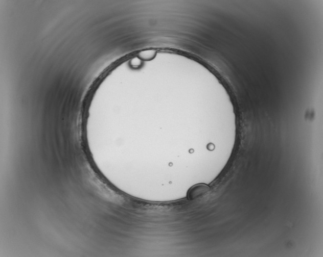 X0000112151076200909181417