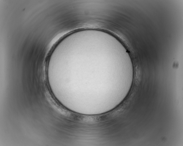 X0000112151078200909181417