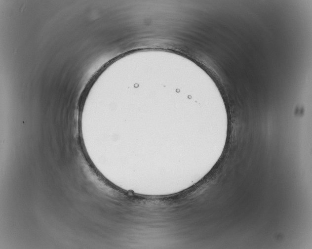 X0000112151079200909181417