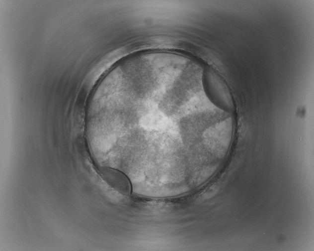 X0000112151081200909181417