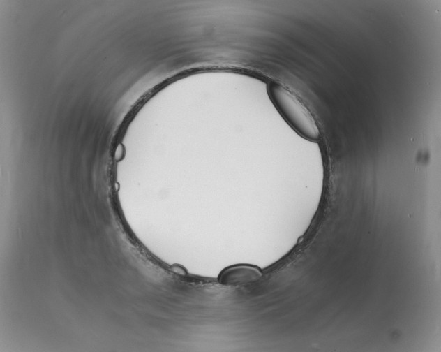 X0000112151085200909181417