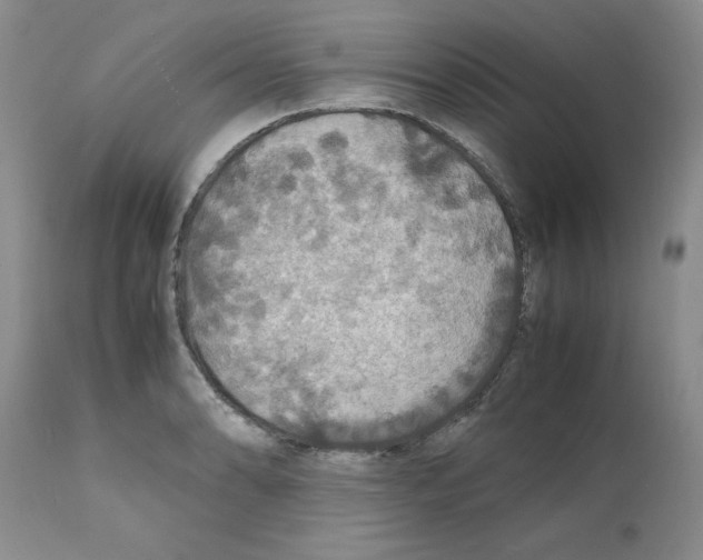 X0000112151086200909181417