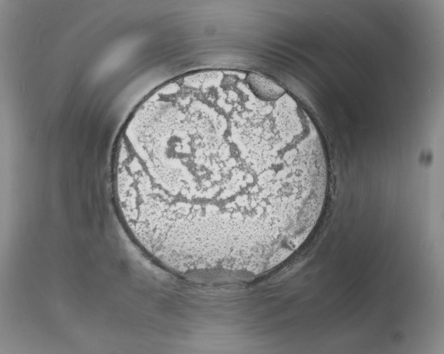 X0000112151087200909181417