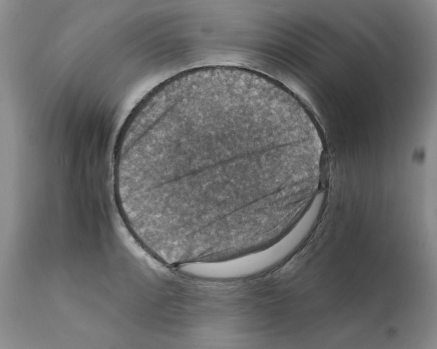 X0000112151088200909181417