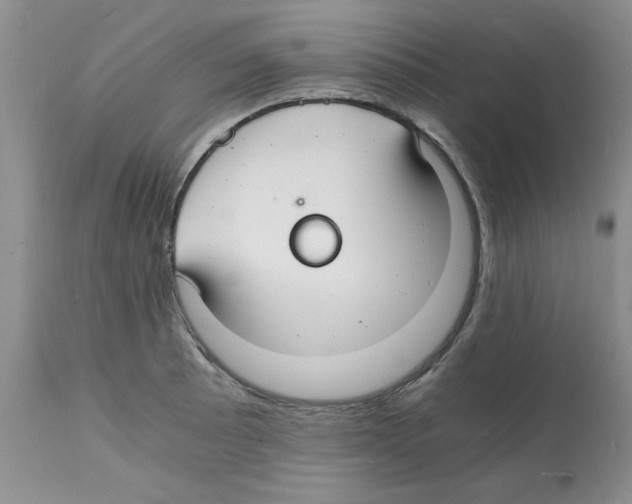 X0000112151089200909181417