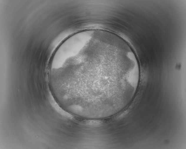 X0000112151090200909181417