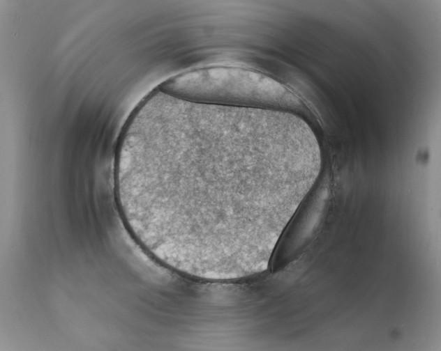 X0000112151092200909181417