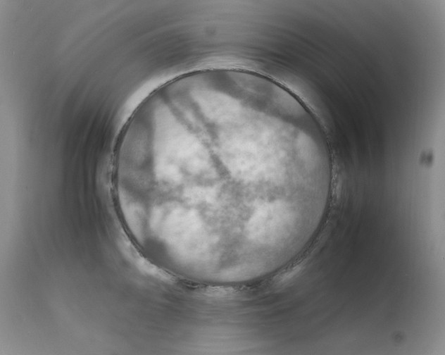 X0000112151094200909181417
