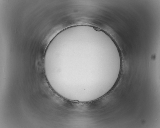 X0000112151097200909181417