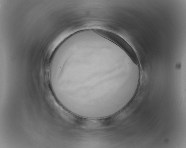 X0000112151101200909181416