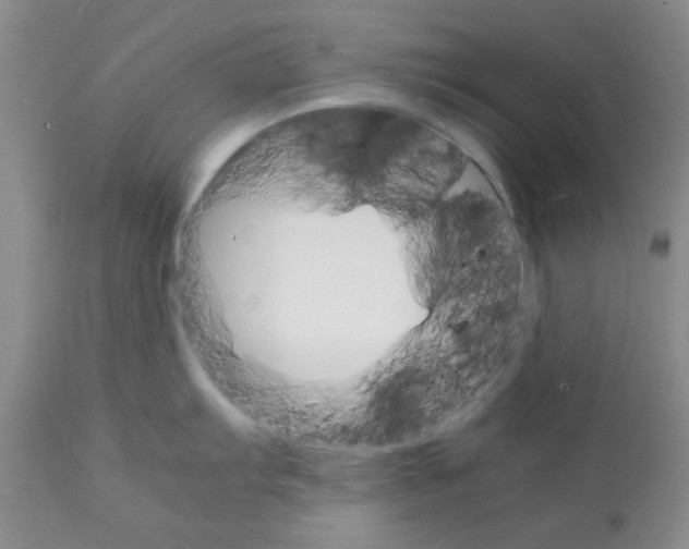 X0000112151103200909181416