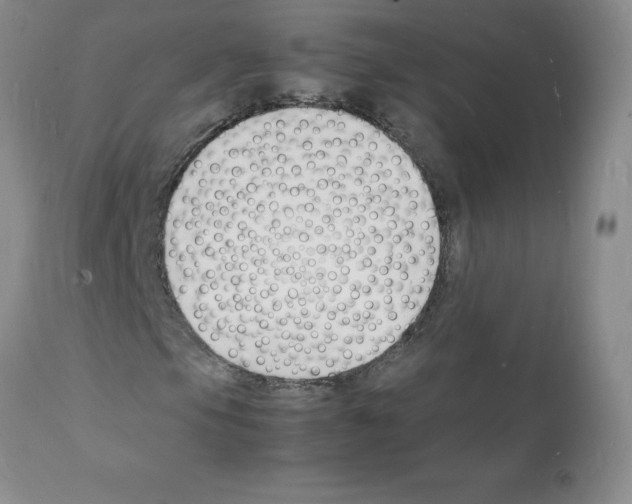 X0000112151105200909181415