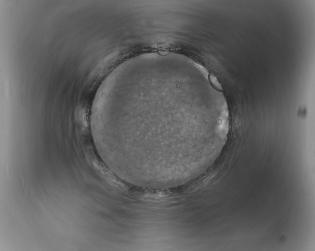 X0000112151106200909181415