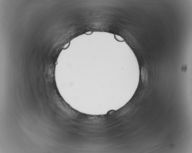 X0000112151107200909181415