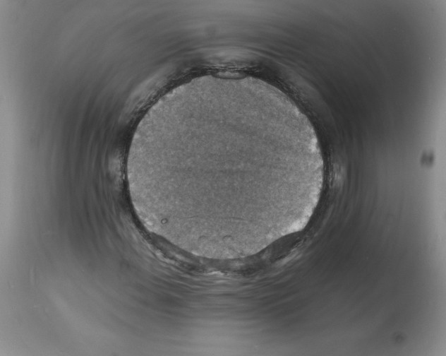 X0000112151108200909181415