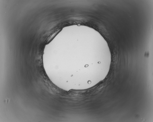 X0000112151109200909181415