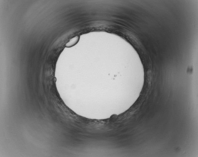 X0000112151111200909181415