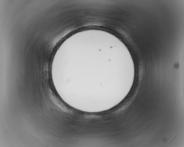 X0000112151113200909181416