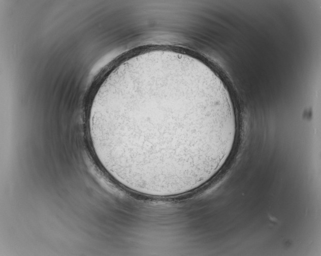 X0000112151114200909181416