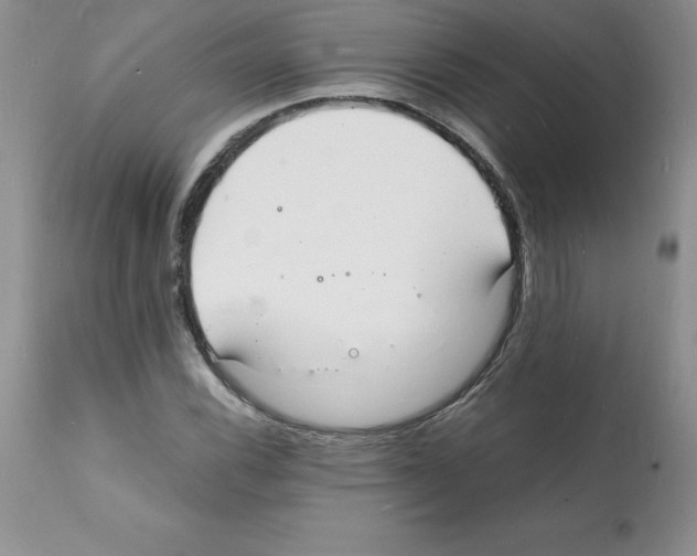 X0000112151116200909181416