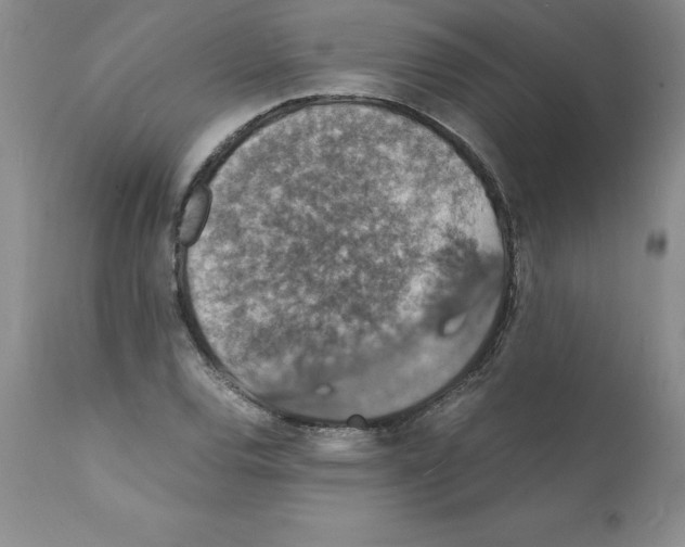 X0000112151120200909181416